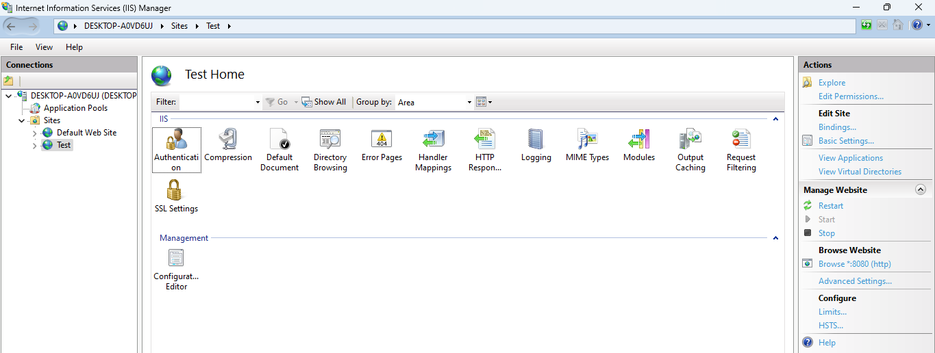 iis reconfigured in new server